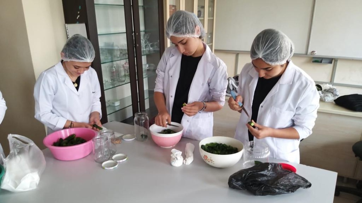 Gıda Teknolojisi Öğrencilerimiz  Meyve Sebze İşleme Dersinde Fermantasyon Teknolojisi Uygulamasında  Turşu Üretimi Yapıyorlar